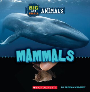 Front cover_Mammals (Wild World: Big and Small Animals)