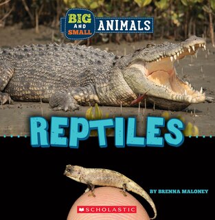 Couverture_Reptiles (Wild World: Big and Small Animals)