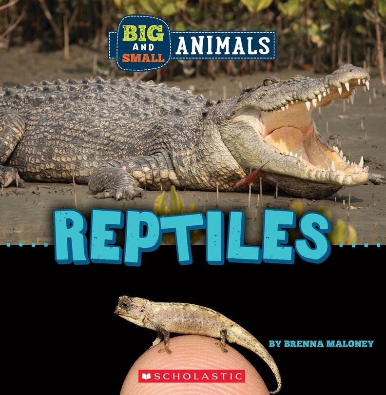 Couverture_Reptiles (Wild World: Big and Small Animals)