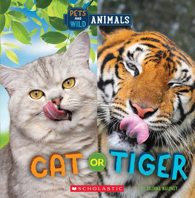 Front cover_Cat or Tiger (Wild World: Pets and Wild Animals)