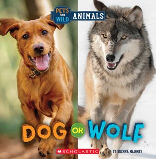 Couverture_Dog or Wolf (Wild World: Pets and Wild Animals)