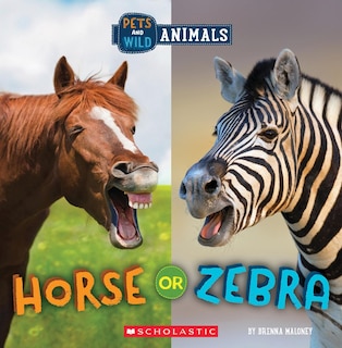 Couverture_Horse or Zebra (Wild World: Pets and Wild Animals)