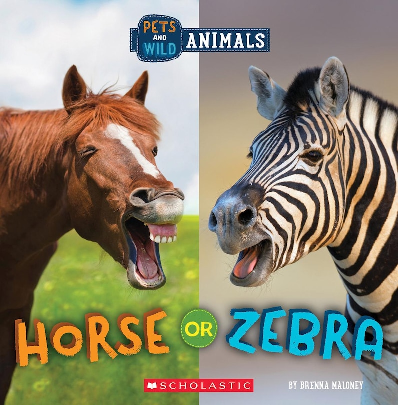 Couverture_Horse or Zebra (Wild World: Pets and Wild Animals)