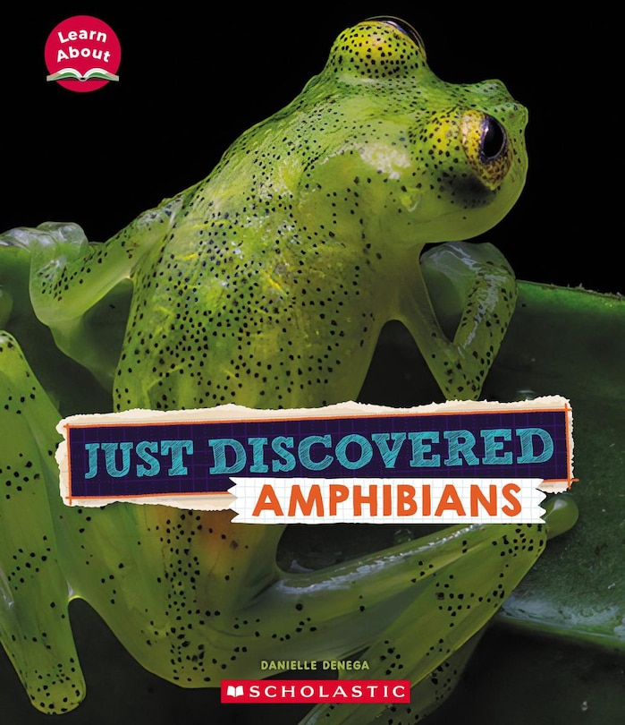 Couverture_Just Discovered Amphibians (Learn About: Animals)