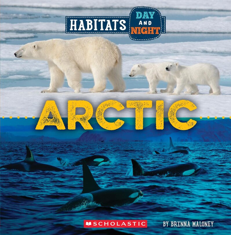 Front cover_Arctic (Wild World: Habitats Day and Night)