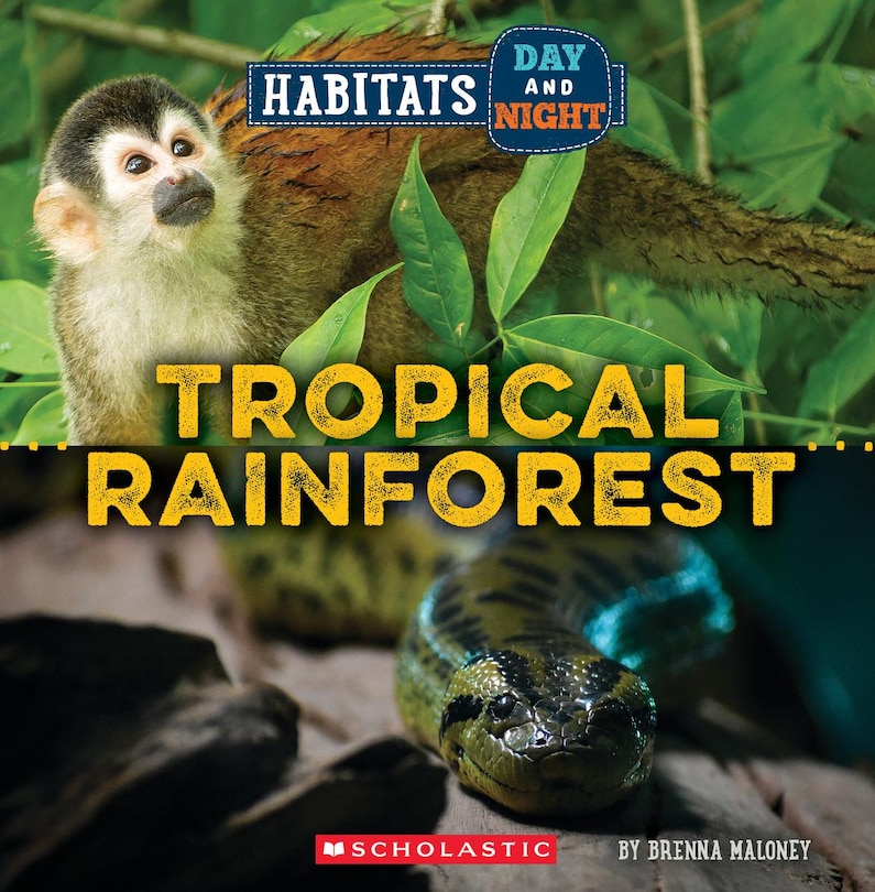 Front cover_Tropical Rainforest (Wild World: Habitats Day and Night)