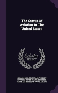 The Status Of Aviation In The United States