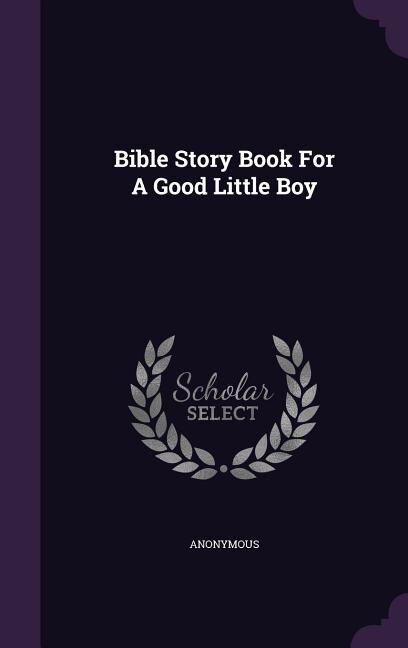 Front cover_Bible Story Book For A Good Little Boy