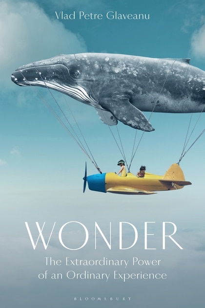 Wonder: The Extraordinary Power Of An Ordinary Experience