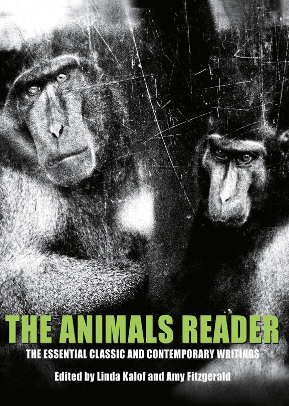 Couverture_The Animals Reader