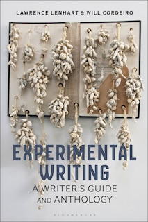 Front cover_Experimental Writing