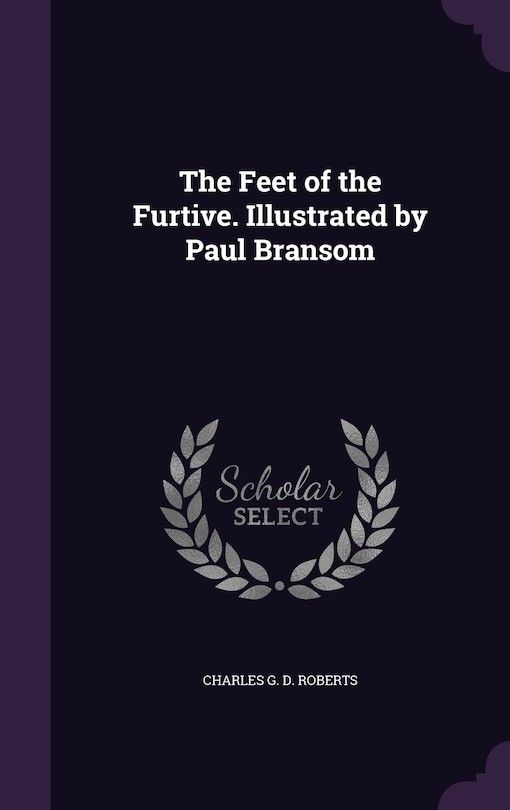 The Feet of the Furtive. Illustrated by Paul Bransom