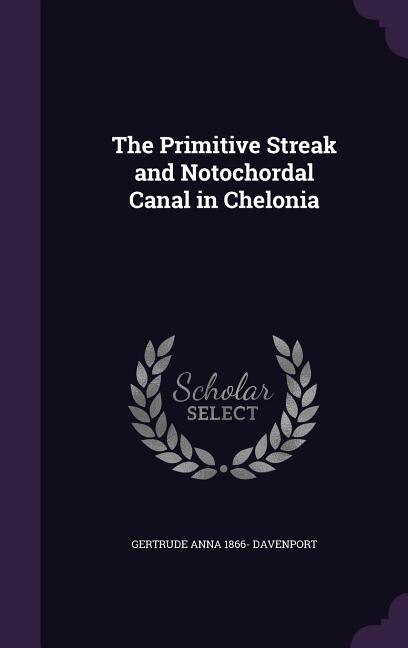 The Primitive Streak and Notochordal Canal in Chelonia