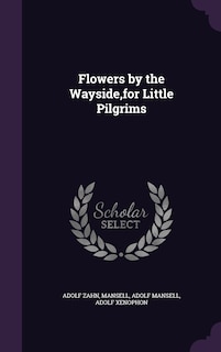 Front cover_Flowers by the Wayside, for Little Pilgrims