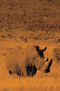 Couverture_Alive! white rhino - Sepia - Photo Art Notebooks (6 x 9 version)