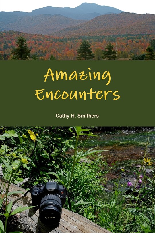 Front cover_Amazing Encounters