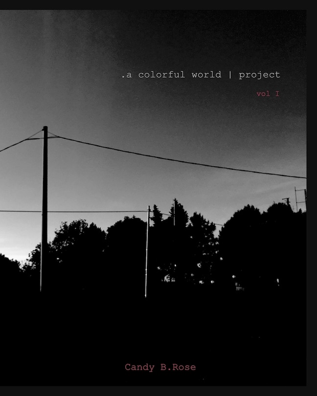 Front cover_.a colorful world project