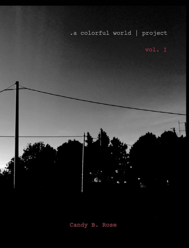 Couverture_.a colorful world project