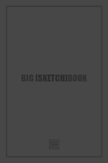 Big [Sketch]book: 480 Plain Pages