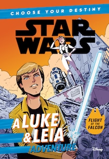 Couverture_Star Wars: A Luke & Leia Adventure