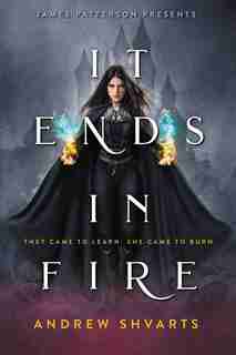 It Ends In Fire by Andrew Shvarts