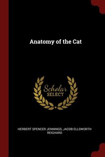 Anatomy of the Cat