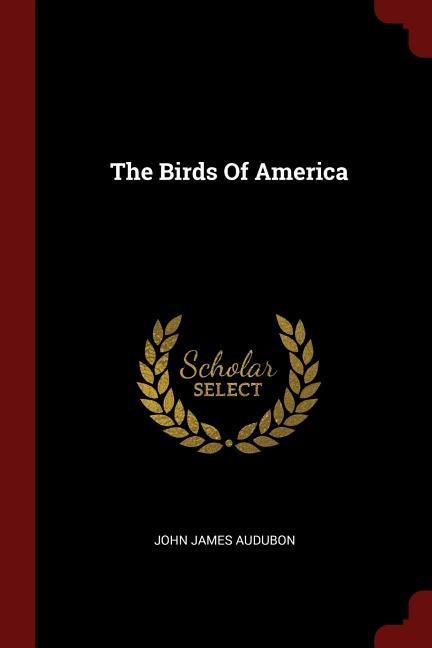 The Birds Of America