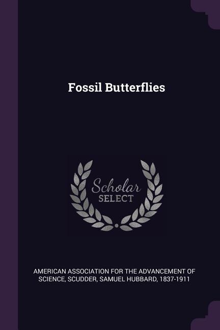 Couverture_Fossil Butterflies