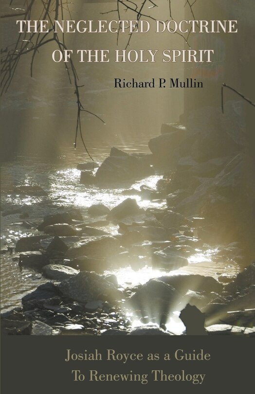 Couverture_The Neglected Doctrine of the Holy Spirit