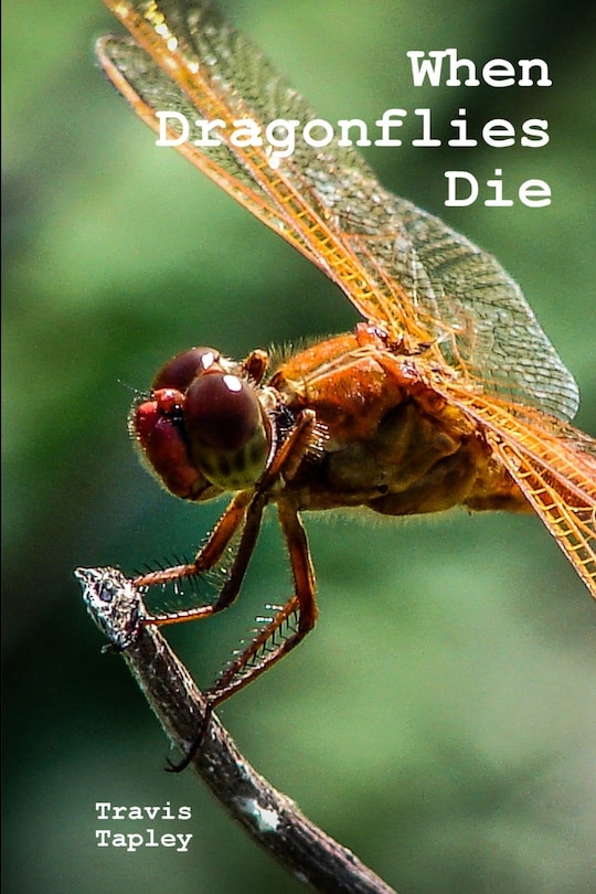Front cover_When Dragonflies Die