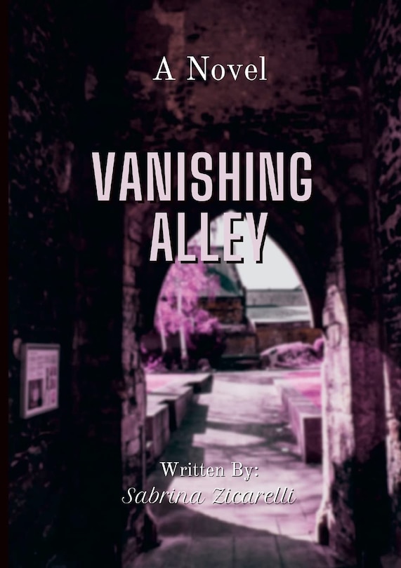 Front cover_Vanishing Alley