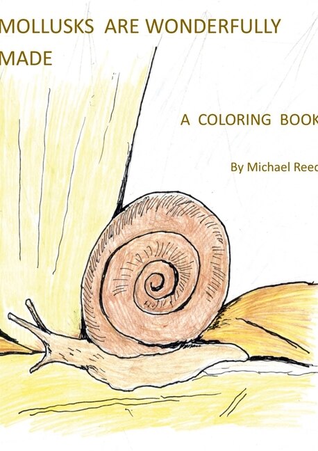 Front cover_Mollusks are Wonderfully Designed