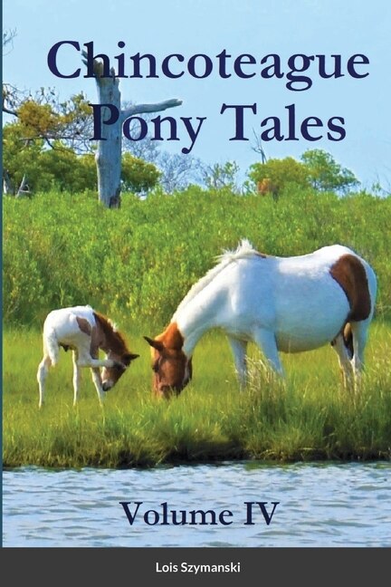 Couverture_Chincoteague Pony Tales