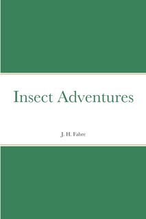 Front cover_Insect Adventures
