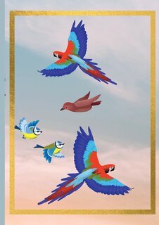 Front cover_Colorful Birds Notebook