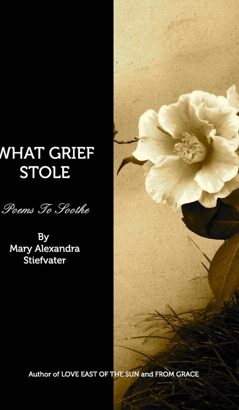 Couverture_What Grief Stole