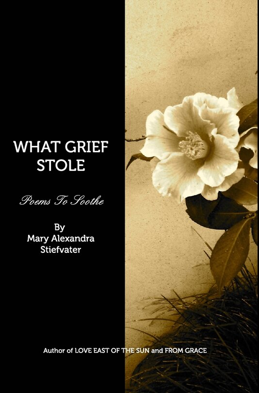 Couverture_What Grief Stole