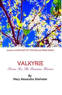 Couverture_Valkyrie