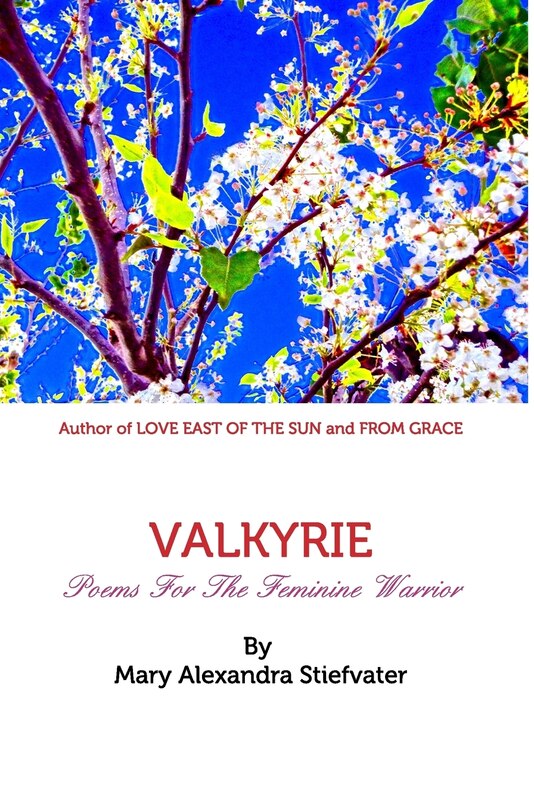 Couverture_Valkyrie