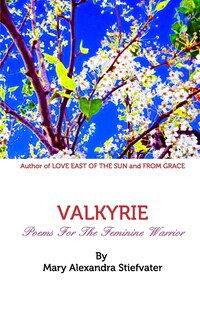 Front cover_Valkyrie