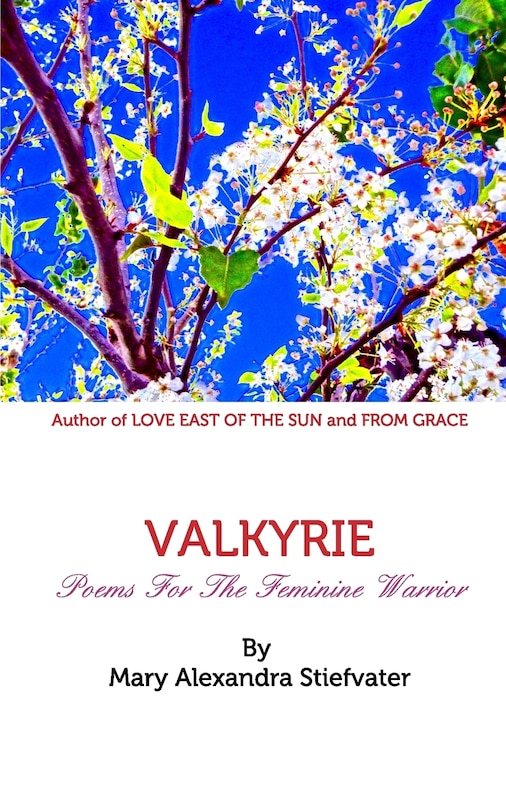 Front cover_Valkyrie