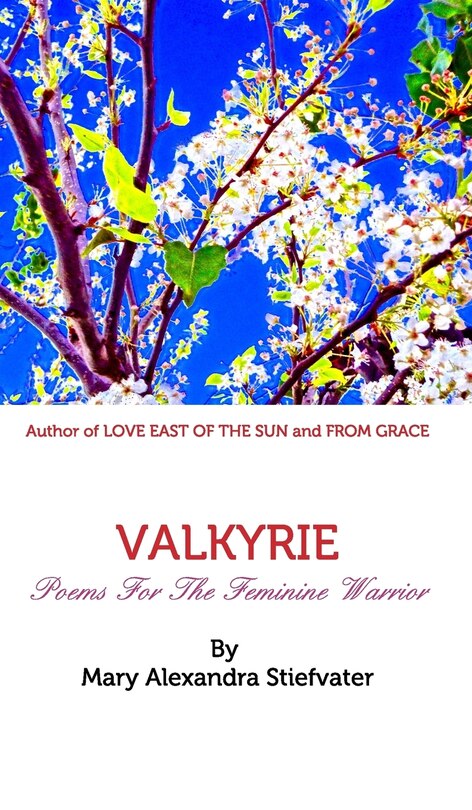 Front cover_Valkyrie