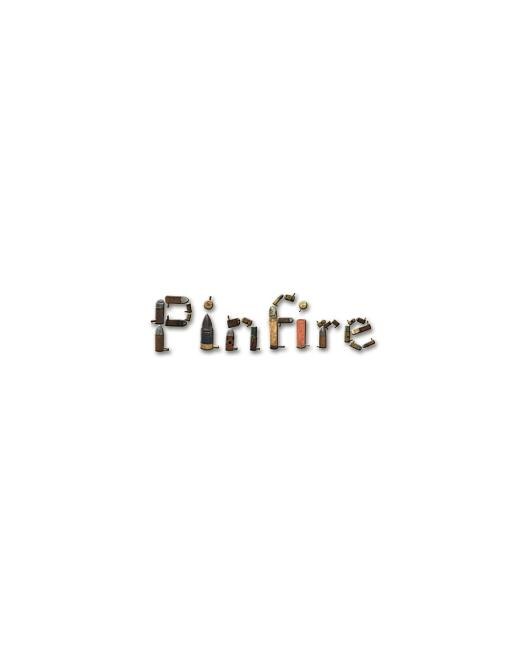 Couverture_The Pinfire Page