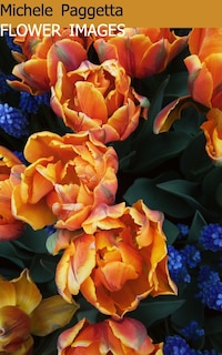 Front cover_Flower Images