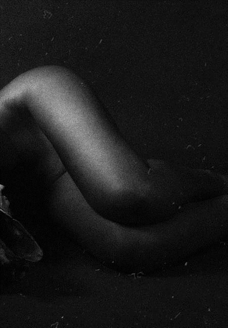 Israeli Nude Models Catalog 2