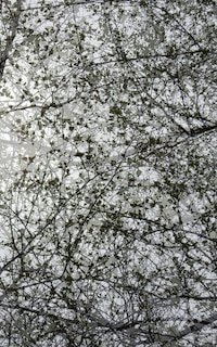 Front cover_Small Blank Journal 15