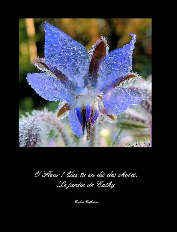 Couverture_Le jardin de Cathy