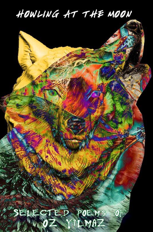 Couverture_Howling at the Moon