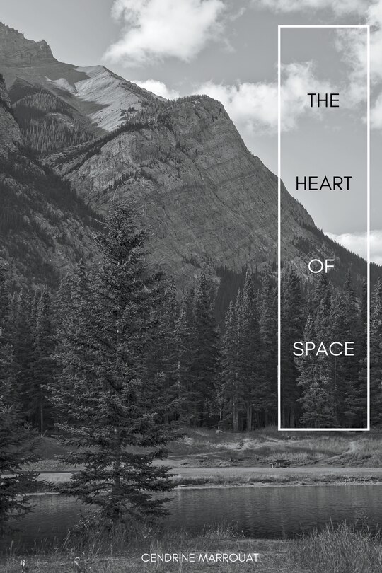 Couverture_The Heart of Space
