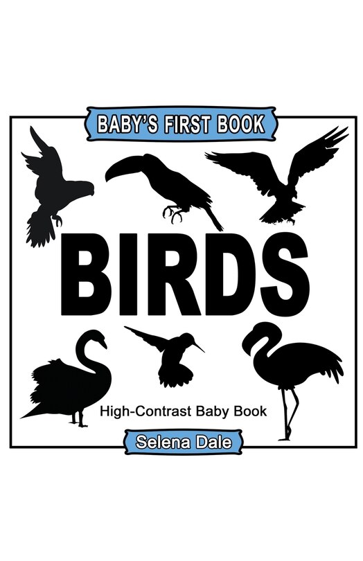 Front cover_Baby's First Book